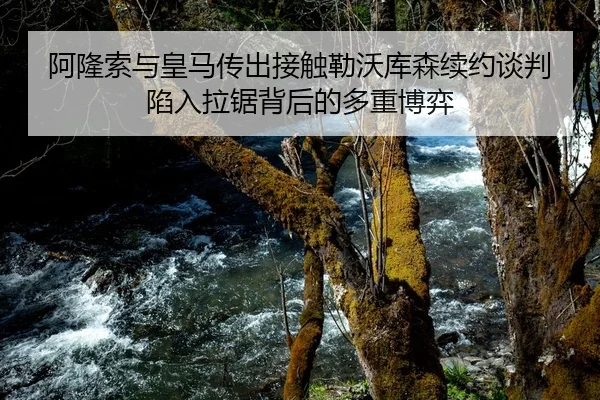 阿隆索与皇马传出接触勒沃库森续约谈判陷入拉锯背后的多重博弈
